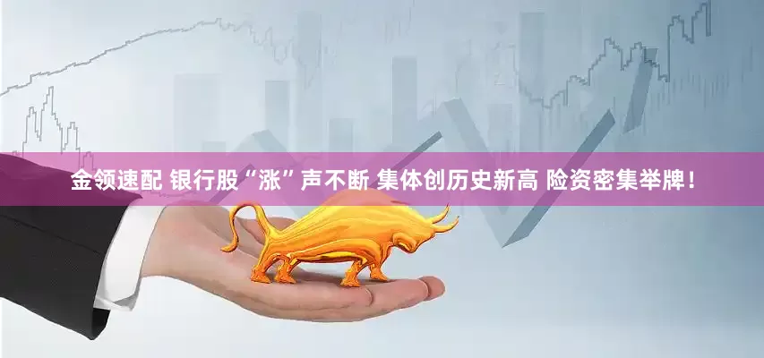 金领速配 银行股“涨”声不断 集体创历史新高 险资密集举牌！