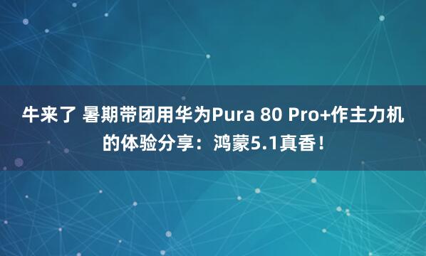 牛来了 暑期带团用华为Pura 80 Pro+作主力机的体验分享：鸿蒙5.1真香！