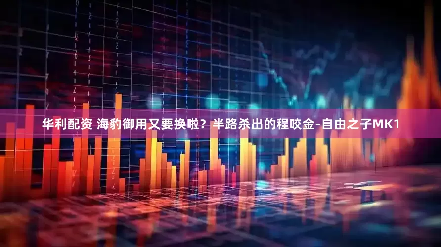 华利配资 海豹御用又要换啦？半路杀出的程咬金-自由之子MK1