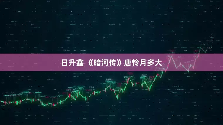 日升鑫 《暗河传》唐怜月多大