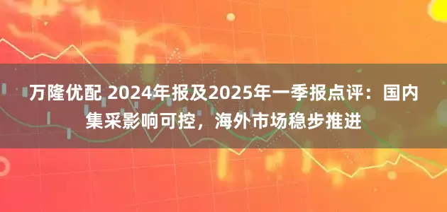 万隆优配 2024年报及2025年一季报点评：国内集采影响可控，海外市场稳步推进