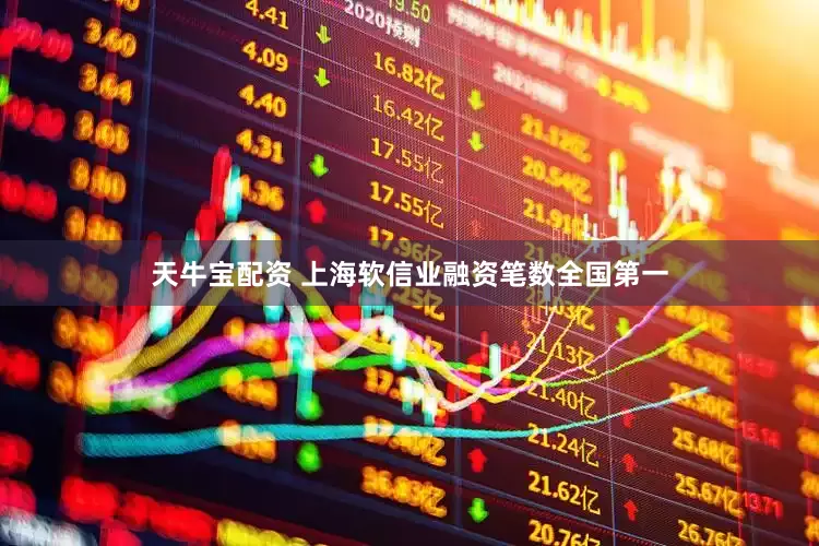 天牛宝配资 上海软信业融资笔数全国第一