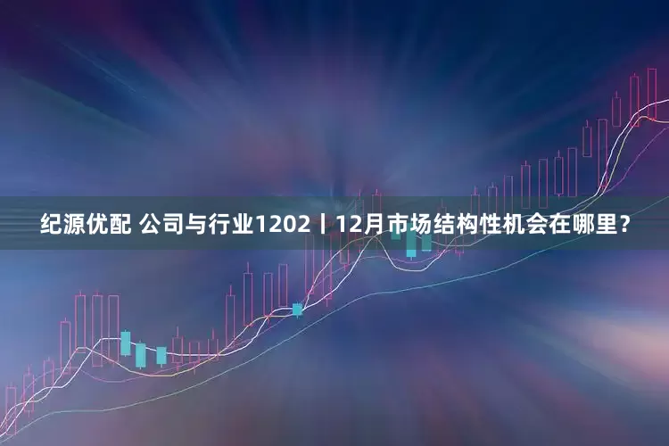纪源优配 公司与行业1202丨12月市场结构性机会在哪里？